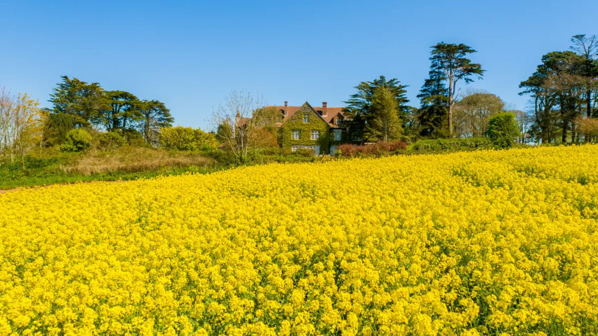 View of Alston Hall across the countryside.
